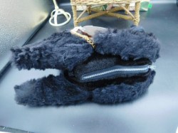 black poodle radio d